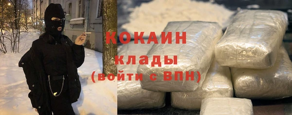 соль ск Алексин