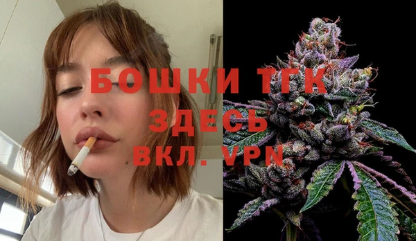 соль ск Алексин